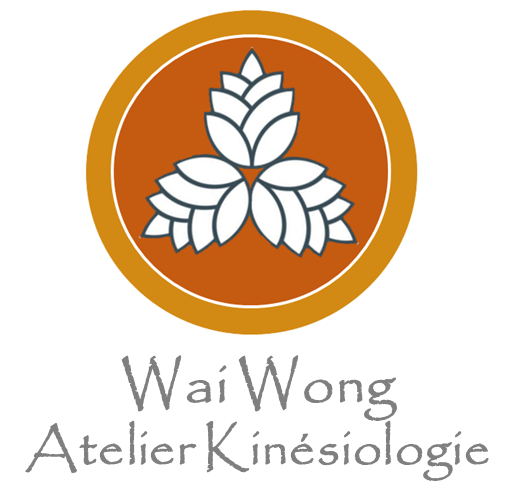 logo orange nouvelle version 7 bis